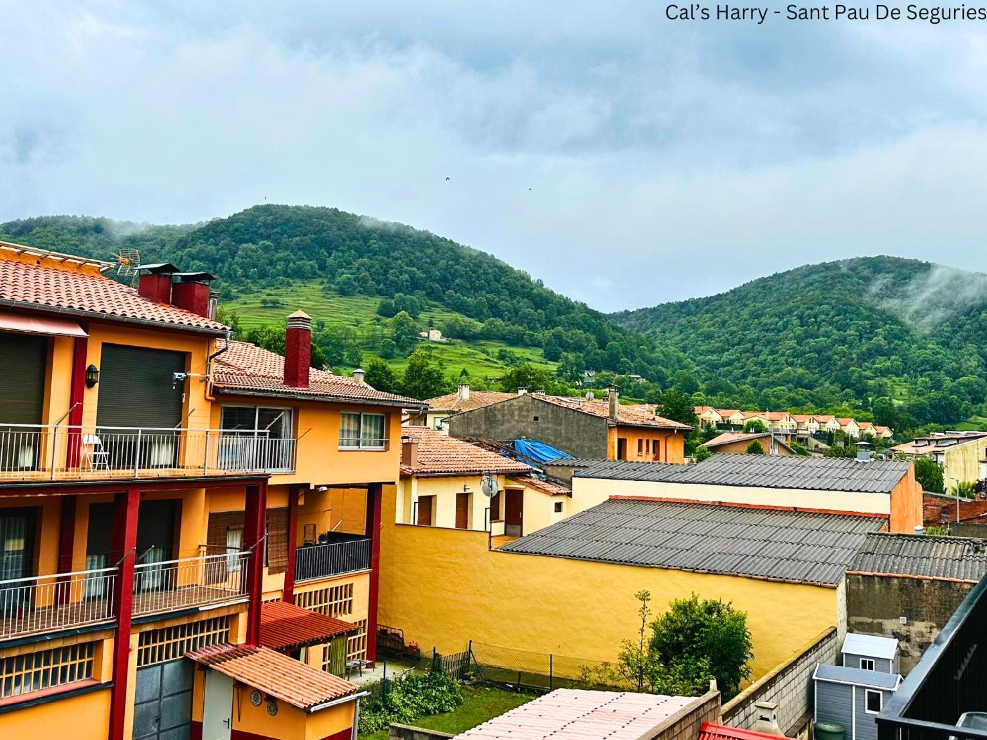 Cal Harrys - La Mejor Casa De Vacaciones En Pyrenees Con Vistas A La Montana Сан-Пау-де-Сегуриес Экстерьер фото